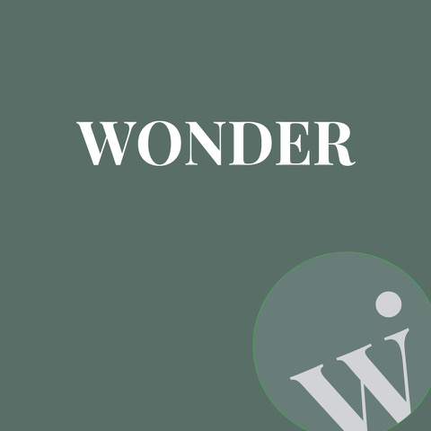 Bridget Lowery Iwonder Menopause Life Coach Auckland Meno Central