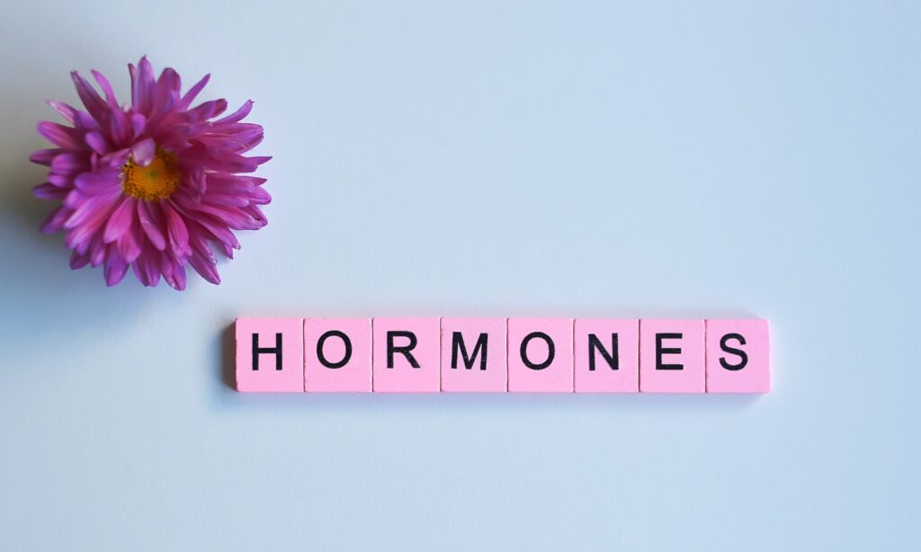 female hormones explained