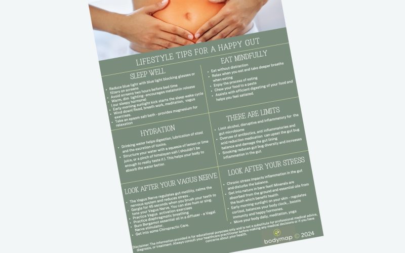 Lifestyle Tips For Healthy Gut Meno Central
